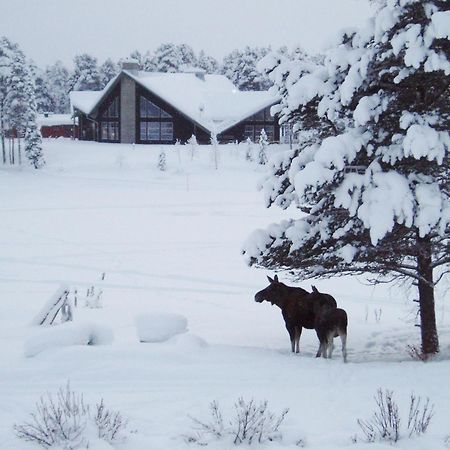 Arrenjarka Mountain Lodge Kvikkjokk Zewnętrze zdjęcie