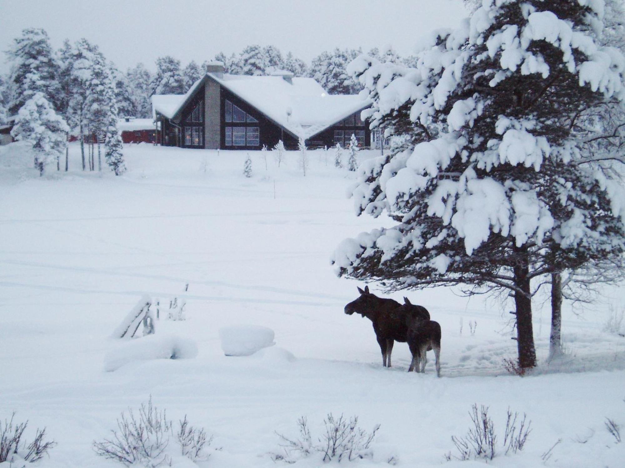 Arrenjarka Mountain Lodge Kvikkjokk Zewnętrze zdjęcie